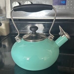Stovetop Whistling Teakettle in Turquoise- Classic Enamel Finish